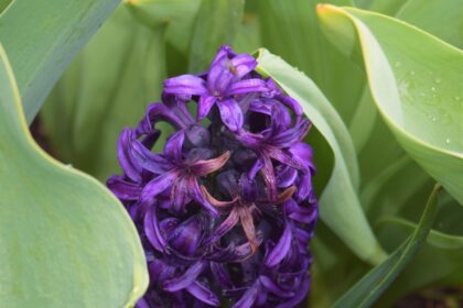 d&eacute;couvrez les tr&eacute;sors cach&eacute;s de rome, des lieux insolites et authentiques loin des foules, pour une exp&eacute;rience unique dans la ville &eacute;ternelle.
