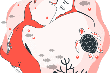 plongez avec les majestueuses raies manta et d&eacute;couvrez une exp&eacute;rience sous-marine unique pleine d'aventure et de beaut&eacute; naturelle.