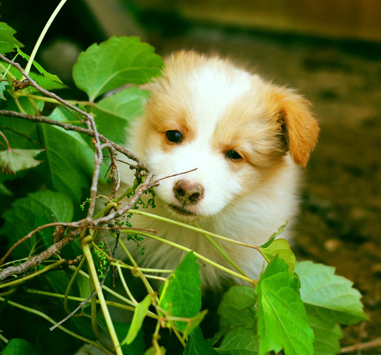Bonjour tout le monde !
