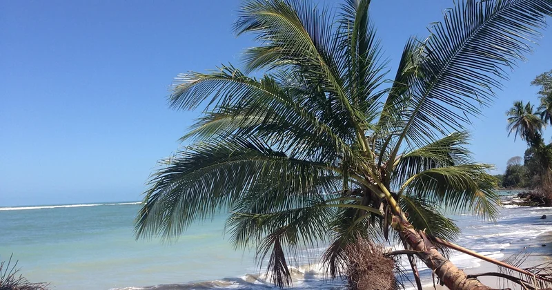 Plages du Costa Rica côté Caraïbes : l'autre Costa Rica