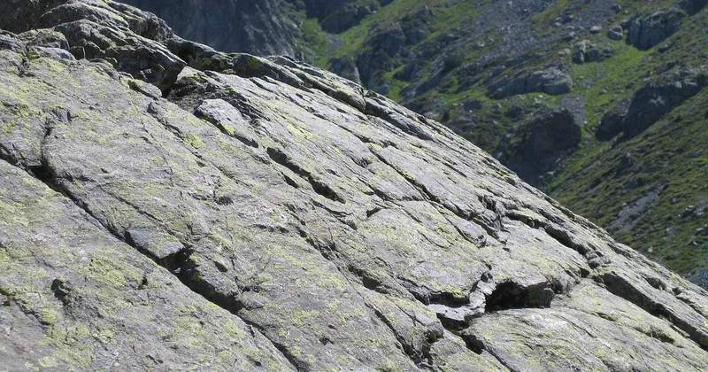 Peyrusse-le-Roc en saison : quand venir ?