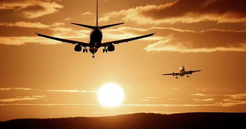 Air Tahiti Nui vs French bee : les différences concrètes